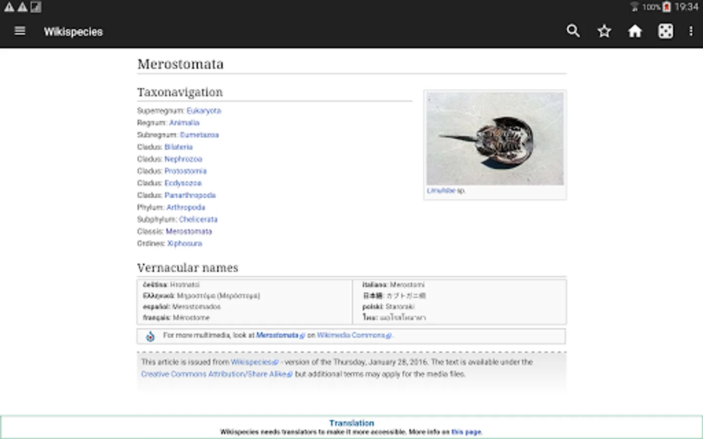 Screenshot 12