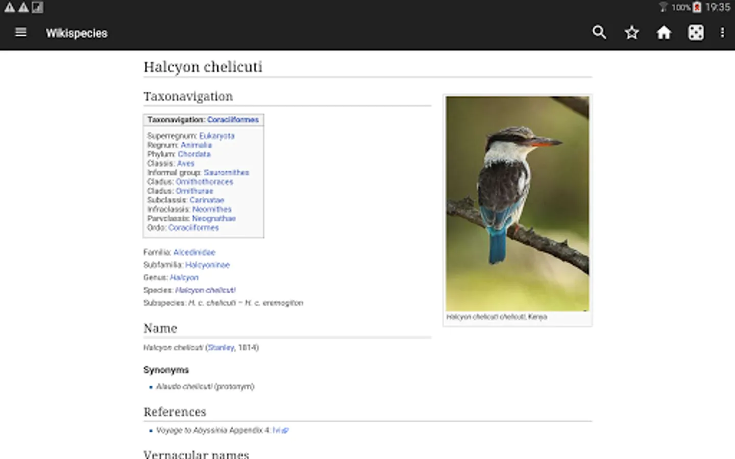 Screenshot 13