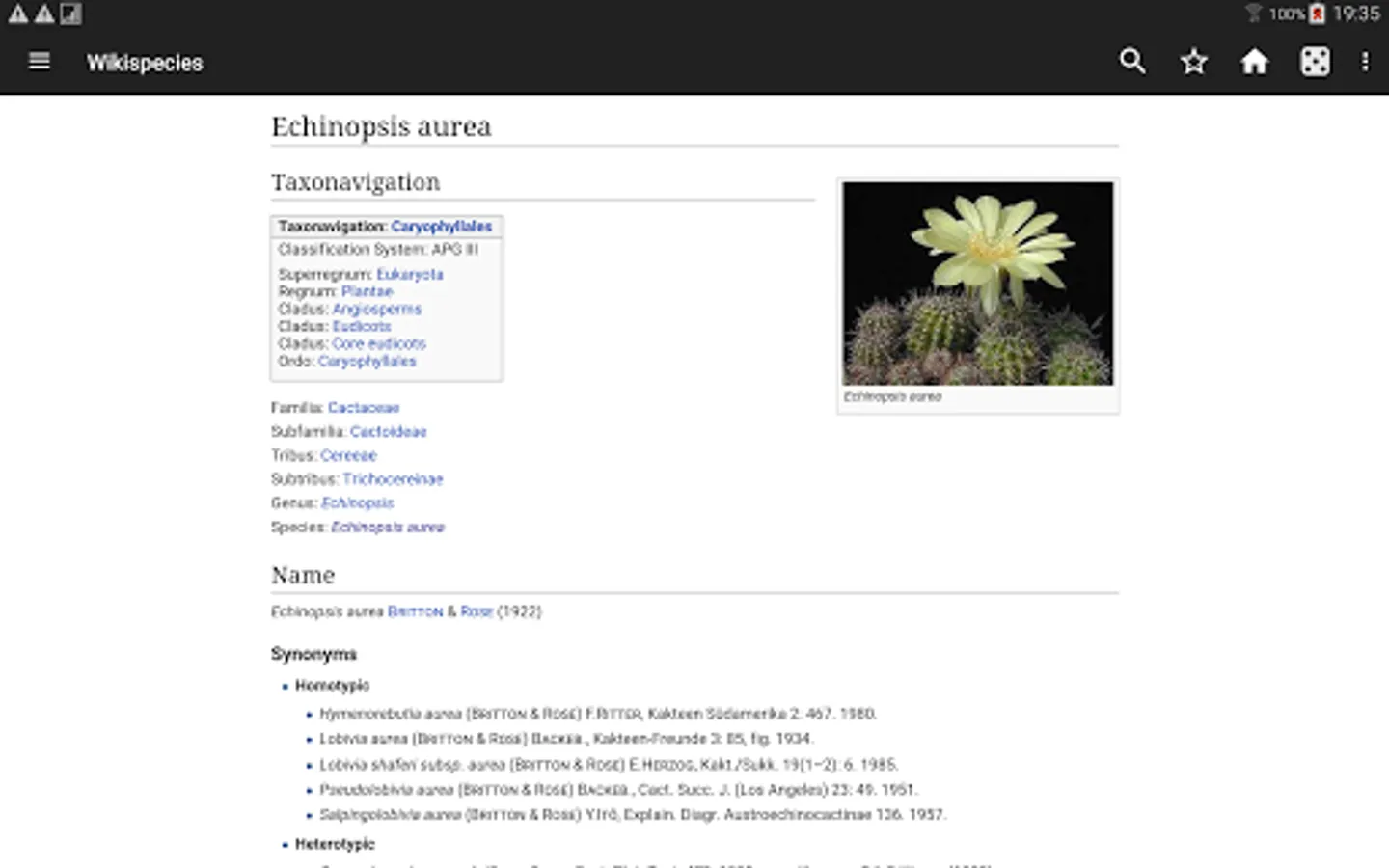 Screenshot 14