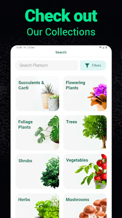 Screenshot 30
