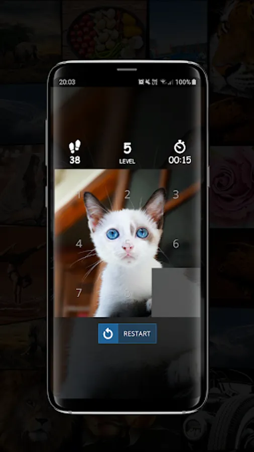 Screenshot 10