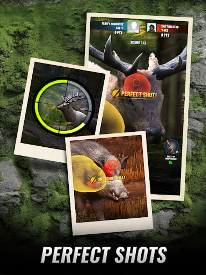 Screenshot 21