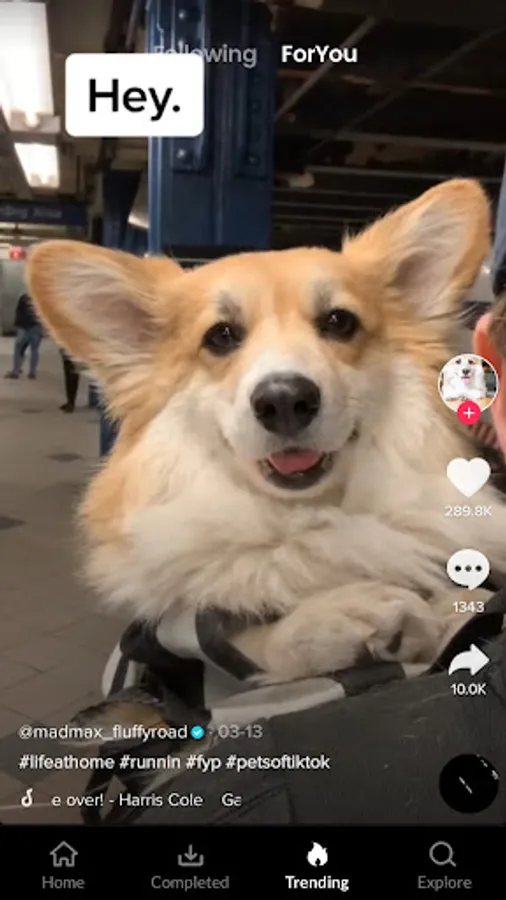 Screenshot 13