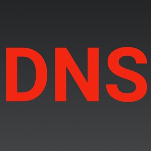 Simple DNS icon