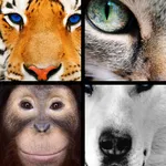 Quiz Pic: Animals icon