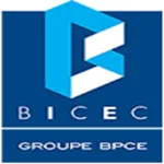 BICEC Mobile-Banking icon