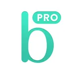 Bridestory Pro for Vendors icon