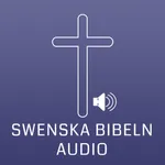 Swedish Bible Audio icon