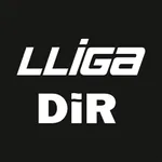 Lliga DIR icon