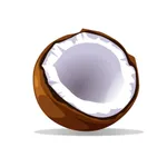 Coconut Budget icon