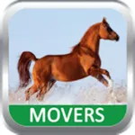 Movers icon