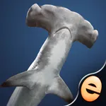 Shark Puzzles for Kids Jigsaw Wonder Collection icon