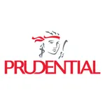 Prudential IR for iPhone icon