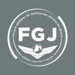 FGJ EDOMEX icon