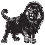 Lion FCU Mobile Banking icon