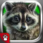 Animals words for kids! Rhymes icon