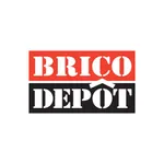 Bricodepot Romania icon