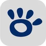 NexoApp icon