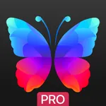 Everpix Pro - HD Wallpapers icon