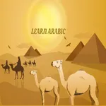 Learn Arabic Flashcard icon