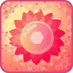 Insta Love collage - Wonder Photo - Camera sticker icon