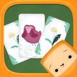 Pikkuli - Card Match Game icon