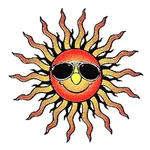Flight Operation Tracker icon