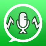 Audio Sender - Voice Changer icon