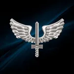 FAB (FORÇA AÉREA BRASILEIRA) icon