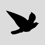 Blackbird Worldwide Corp. icon