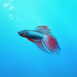 Aquarium Builder: My Pet Fish Tank Maker icon