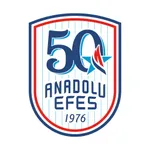 Anadolu Efes Spor Kulübü icon
