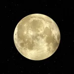 Lucky Moon icon