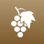 VinsLux icon