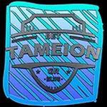 Tameion.gr icon