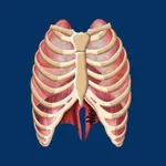 Respiration ID icon