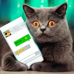 Simulator Virtual Cat Joke icon