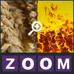 Zoom Quiz - Guess what is the picture, new fun puzzle! icon