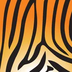 Asset Tiger icon