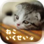 癒しのねこ育成ゲーム3D icon