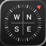 Compass icon