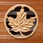 Dusty Strings D550 Dulcimer icon