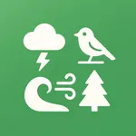 SoundScape - Mindfulness Audio icon