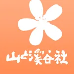 野に咲く花（山溪ハンディ図鑑） icon