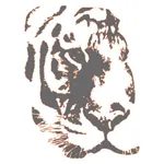 Republic Tiger Sports icon