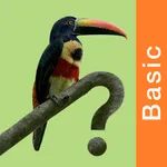 Costa Rica Birds Basic icon