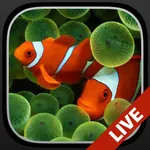 Aquarium Dynamic Wallpapers+ icon