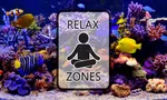 Aquarium TV by Relax Zones icon