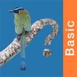 Panama Birds Field Guide Basic icon