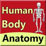 body anatomy guide icon